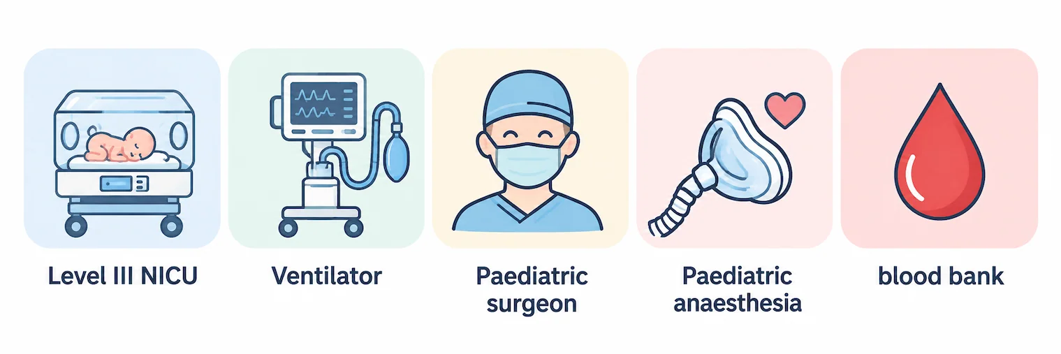 Icons showing what the delivery hospital should have: a NICU, ventilator support, a paediatric surgeon, paediatric anaesthesia and a blood bank.  Labels to add in Canva: Level III NICU · Ventilator · Paediatric surgeon · Paedi